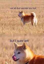 101358