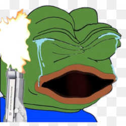 24855